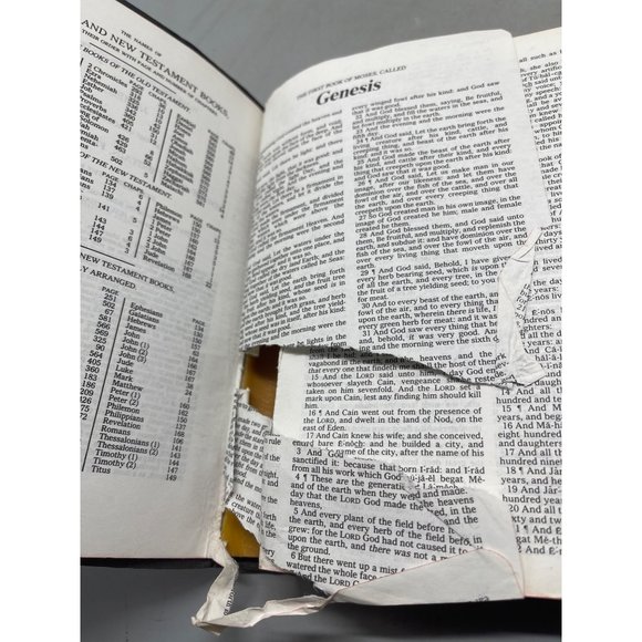 holy bible dictionary concordance king james version book black English READ - Picture 2 of 6